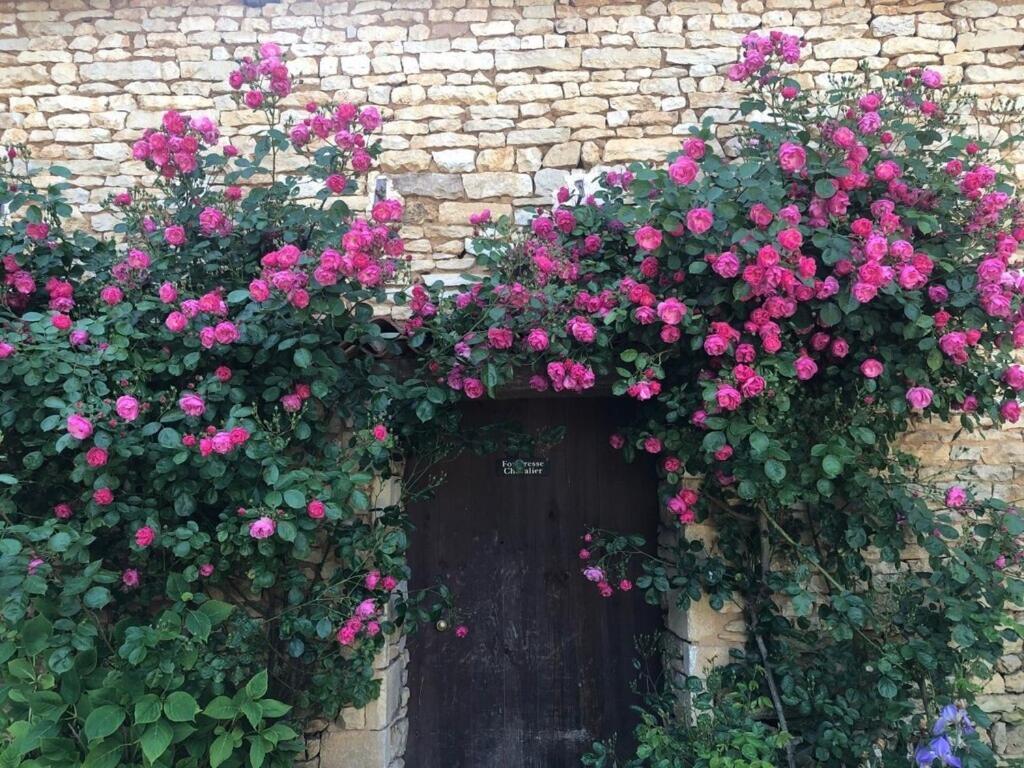 Blacksmiths Cottage In Blanzay - 3 Beds Dış mekan fotoğraf